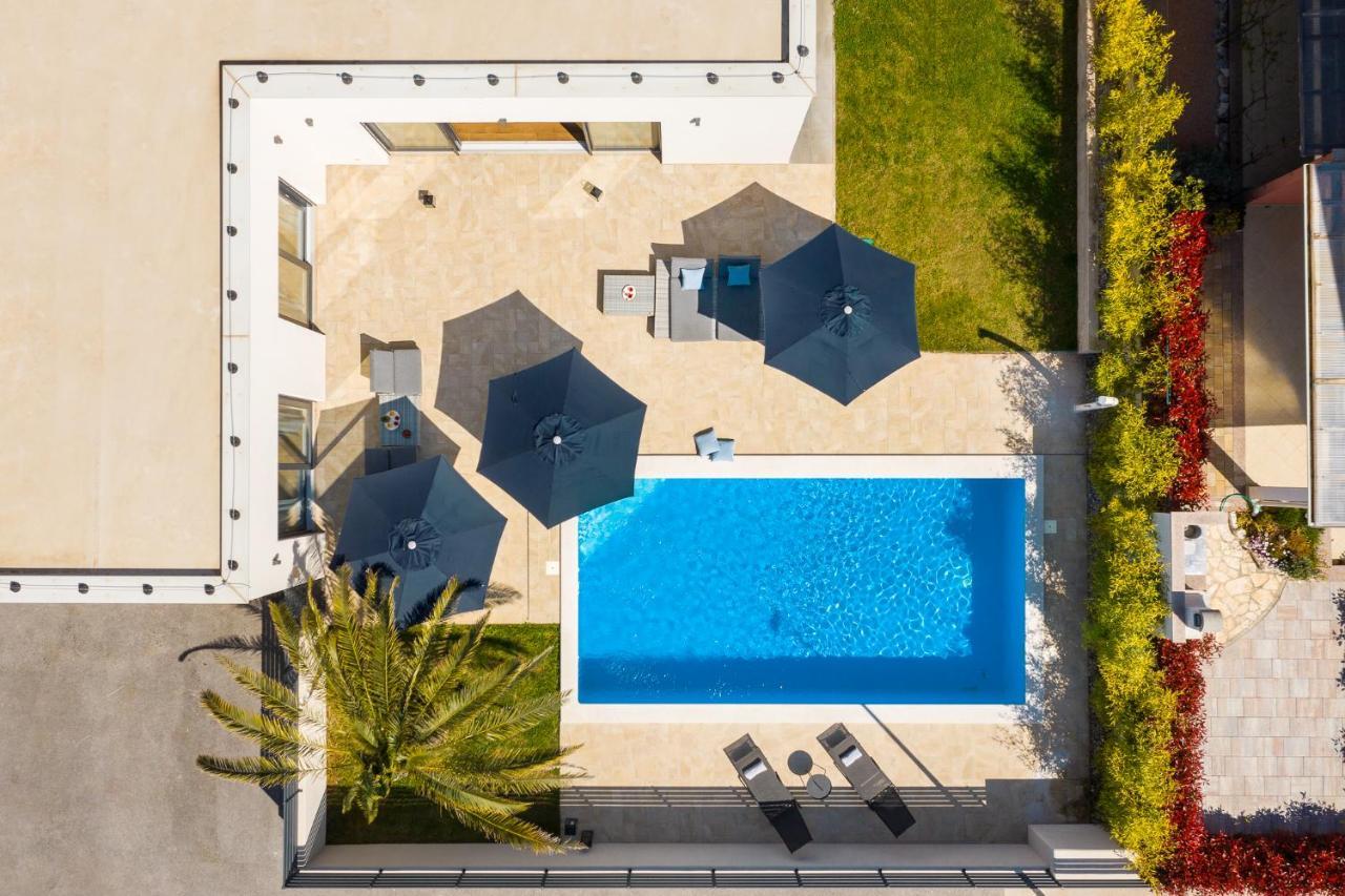 Belvedere Holidays *