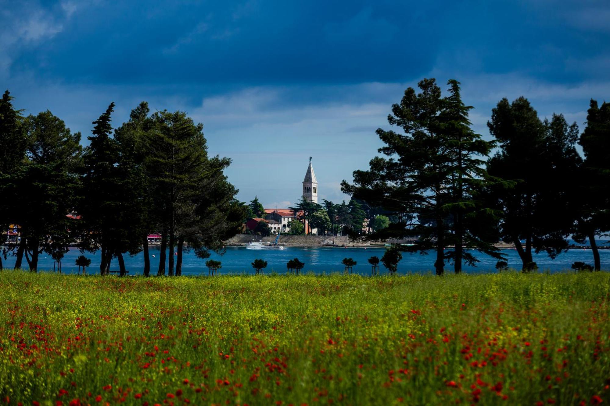 Belvedere Holidays Casa vacanze