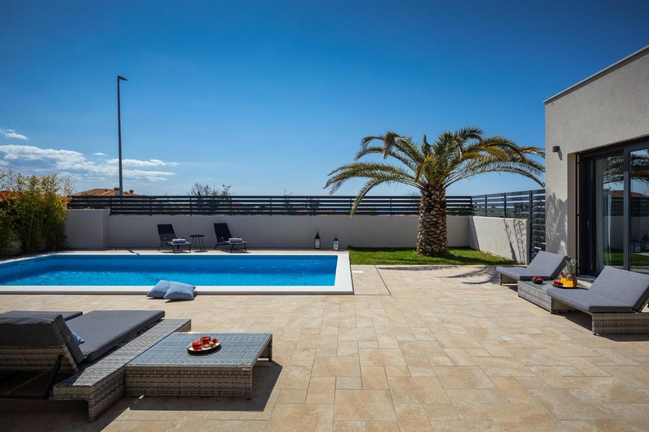 Belvedere Holidays *